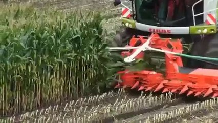 DEV TARIM ALETLERİ CLAAS