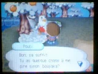 Animal Crossing : Wild World