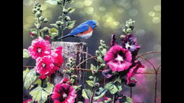 gelin kardeş olalım 2014-05-25