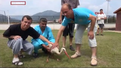 Sevgi 'engel' tanımaz