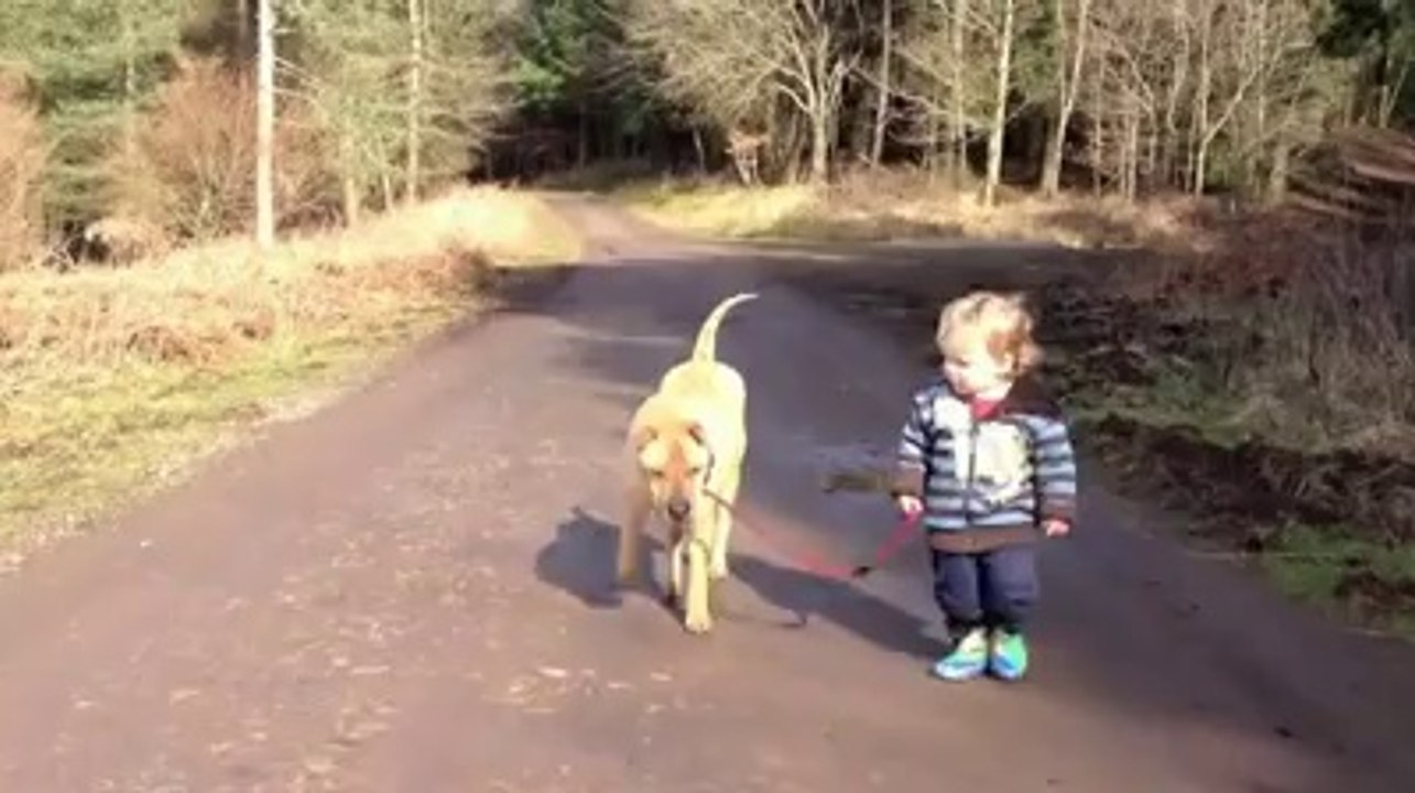 Köpek bebeği gezdiriyo :)