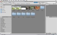 Photoshop CS5 Essential Training-3-Using the exercise files