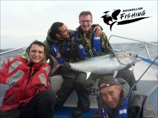 Vol avec les puffins, la traque continue