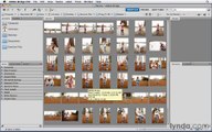Photoshop CS5 Essential Training-7-Customizing how thumbnails are displayed