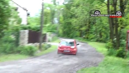 Crash in the rally of Poland