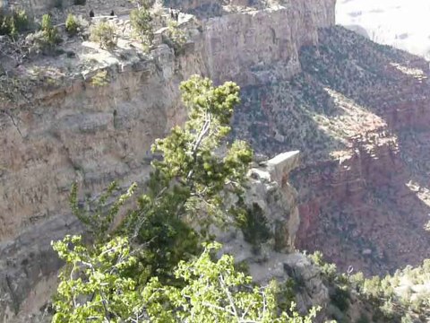 GRAND CANYON 038