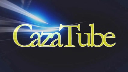 Amaestrando Jabali Wild boar being trained. Pumba. primera semana