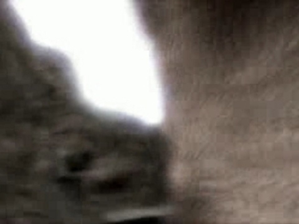 BMSTeaserTrailerFinal