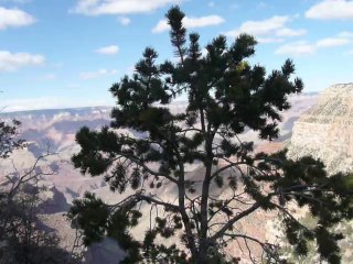 GRAND CANYON 041