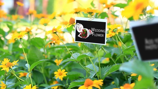 online florist in delhi send flowers online