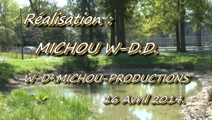 LES W-D.D. MICHOU WEDNESDAY NEWS - 16 AVRIL 2014 - S.O.S. DE POISSONS EN DETRESSE...