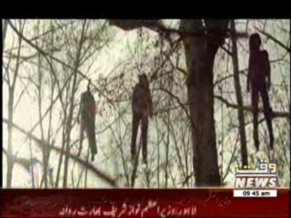New Horror Movie Tree House  News Package 26 Ma...