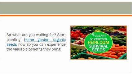 5 Reasons to Plant Non-GMO Garden Seeds 4