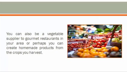 5 Reasons to Plant Non-GMO Garden Seeds 5