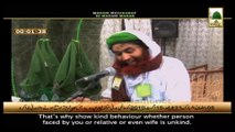 Madani Muzakray ki Madani Mehak - Damad Ki Dawat - with English Subtitle (1)