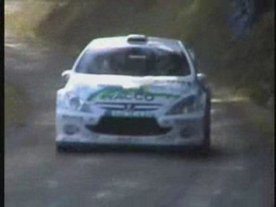 Monte-carlo 2007 (St Bonnet le froid)