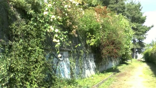 LES W-D.D. MICHOU SATURDAY NEWS - 3 MAI 2014 - LE BEAU TEMPS EST REVENU FAISONS LE TOUR DU STADE NAUTIQUE.