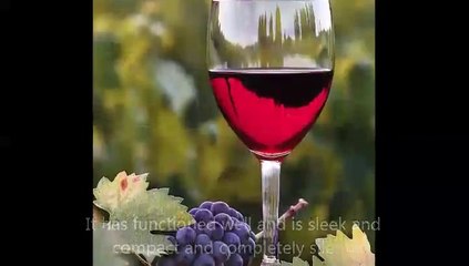 NewAir AW-181E Thermoelectric Wine Cooler