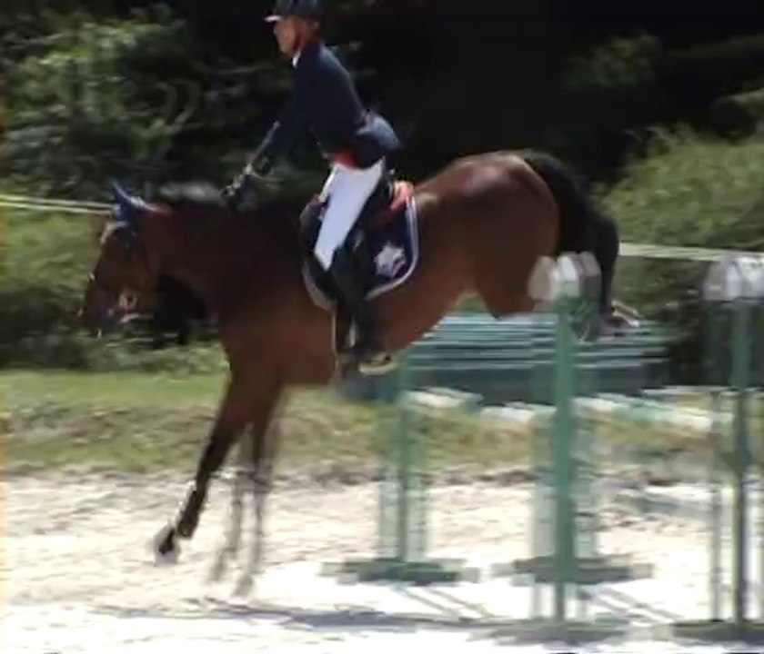 CSO DE SAINT-AULDE LE 17 MAI 2014