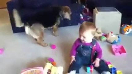 Sevimli bebeği izlerken gülmemek mümkün değil