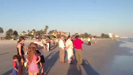 Elephant Spotted on Florida Beach