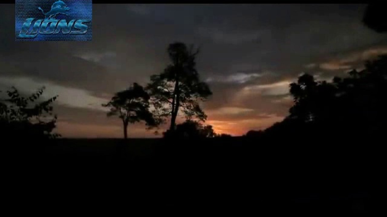 Lions ATTACK at Night - Lions fighting to death - video Dailymotion