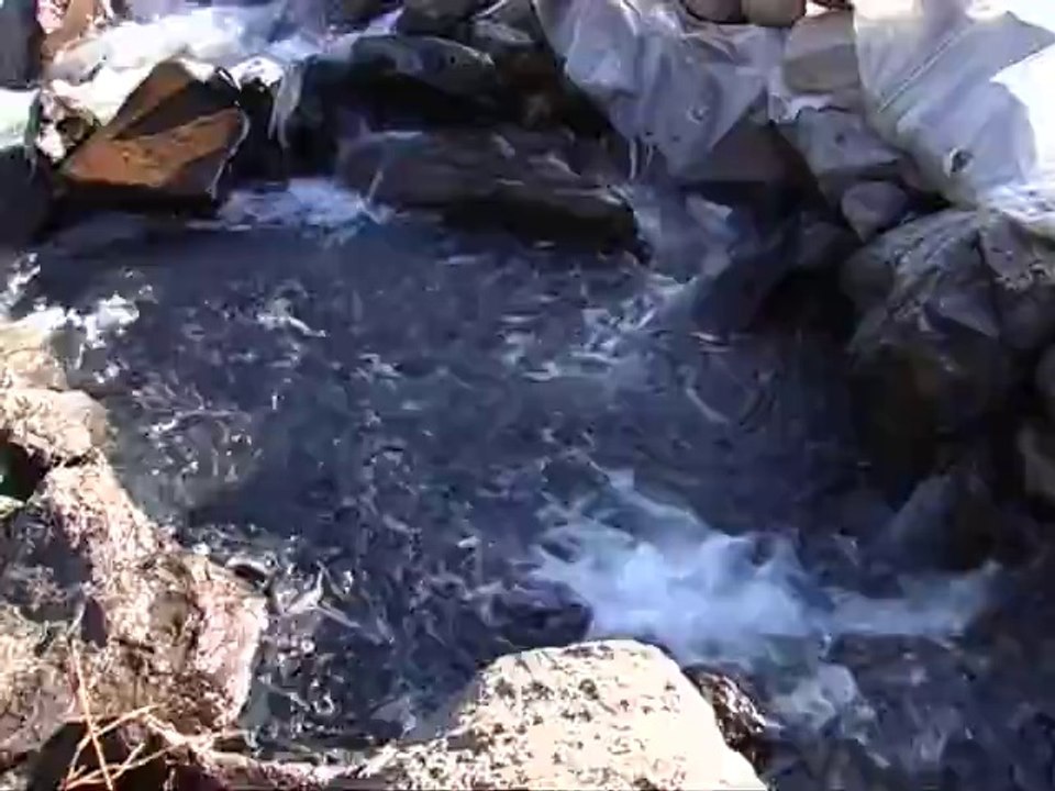 Van Gölü İnci Kefali