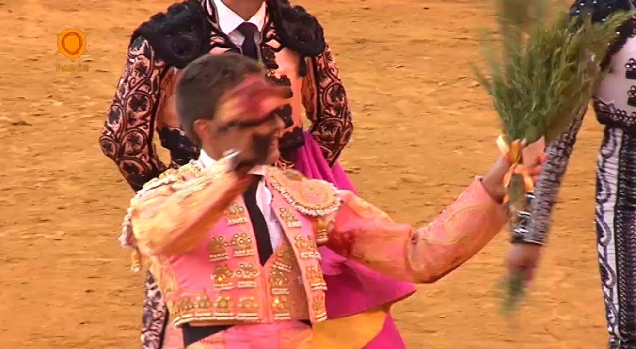 RESUMEN NOVILLADA 25 MAYO SEVILLA 2014 INTERNET