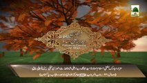 3D Animation - Deedar Ali Shah - 22 Rajab