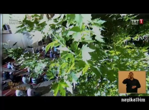 MİRAC BAHRİ Adem Karabey MİRAC 2014 trt1