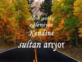 Yıldız Çam Ömrüm