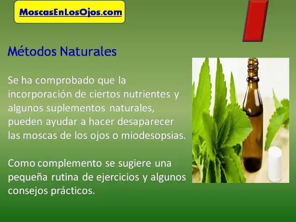 Como Se Quitan Las Moscas Volantes de Los Ojos : Como Se Quitan Las Moscas de Los Ojos