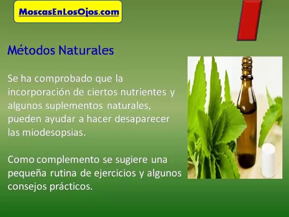 Como Curar Las Moscas Volantes : Como Se Pueden Curar Las Moscas Volantes en los Ojos o Miodesopsias