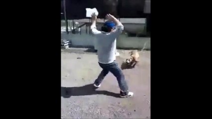 Pitbull ile dalga geçmenin sonu