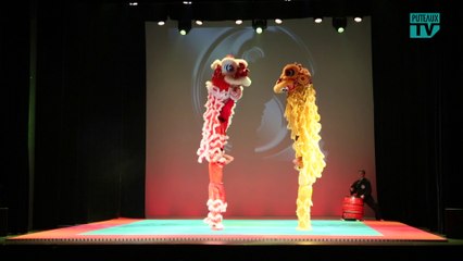 Vidéo Puteaux: La deuxième nuit des arts martiaux