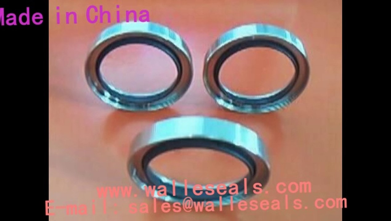 OmniLip PTFE Rotary Shaft Seals
