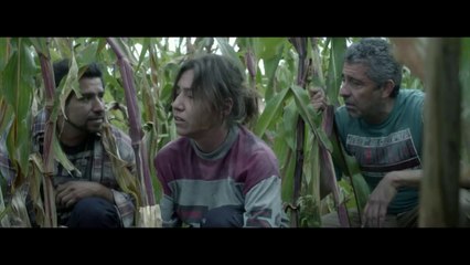 Tráiler de la película Los fenómenos, de Alfonso Zarauza