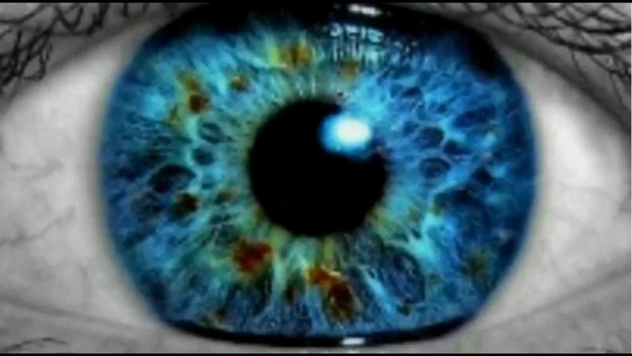 Al Sharpton Is Racist