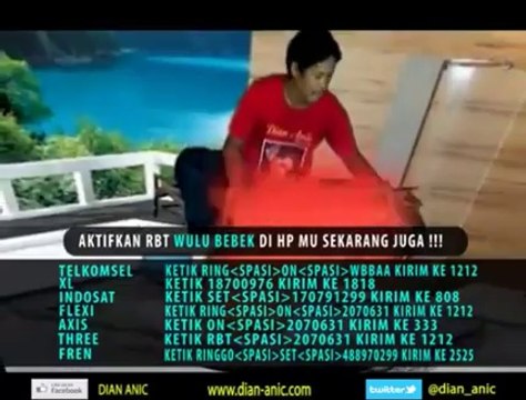 WULU BEBEK dian anic @ lagu tarling