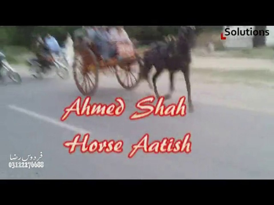 ahmed shah horse aatish jumma try 23-5-14