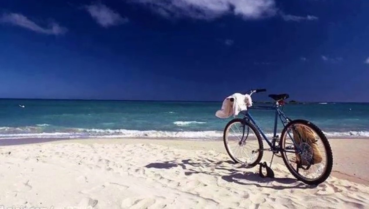 GHEORGHE ZAMFİR....THE LONELY  SHEPHERD