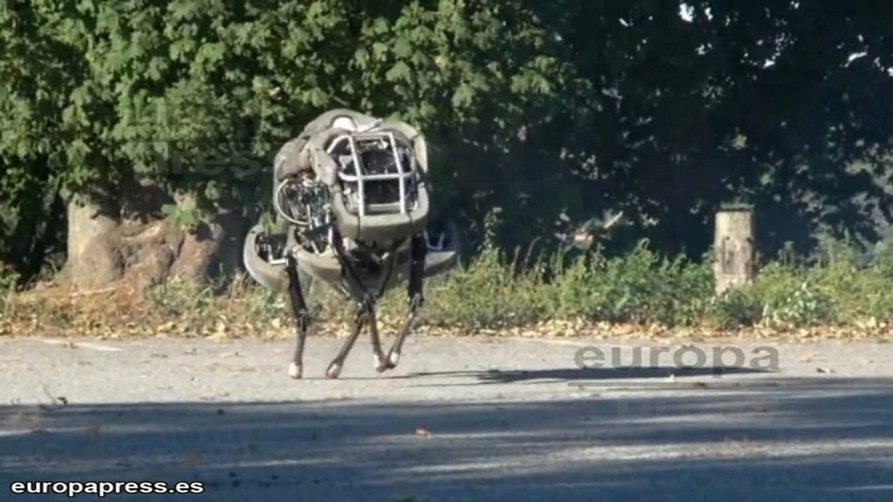 Un viaje al futuro gracias a Google y Facebook