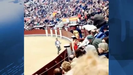 В Мадриде впервые за 35 лет отменили корриду