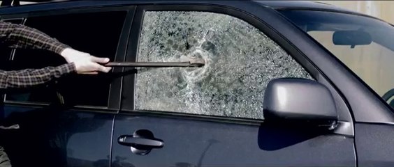 Man breaks car window and what he finds inside is shocking