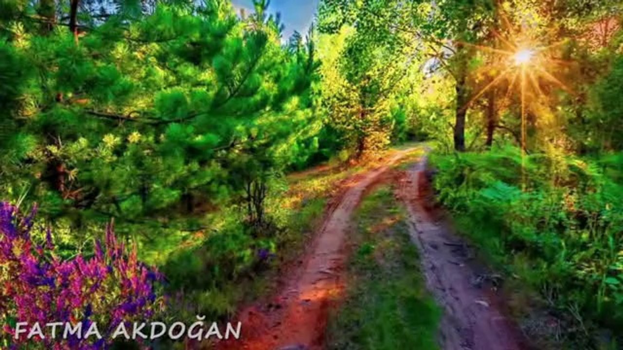 EMRE SALTIK-ÖLESİYE ÖZLEDİM