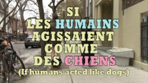 Si les HUMAINS agissaient comme des CHIENS - What if HUMANS acted like DOGS-