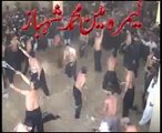 Allama Nasir Abbas Shuhda e Karbala ki Namaz e Janaza ka Ealan