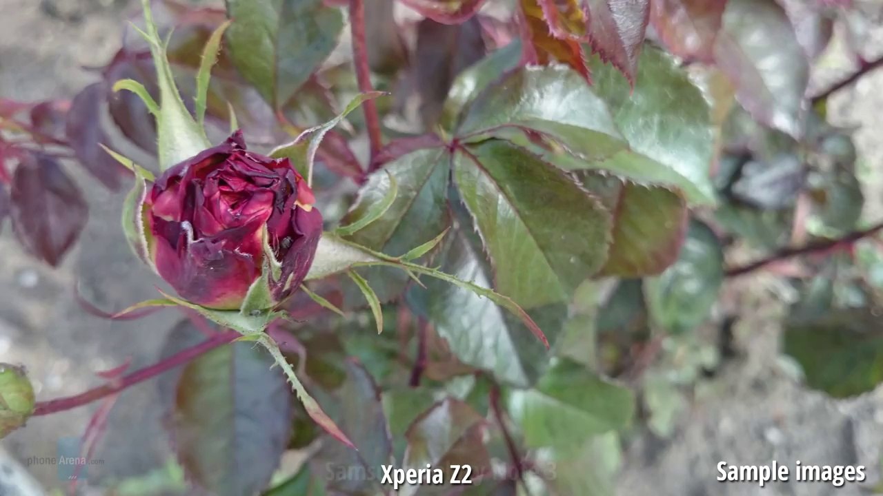 Sony Xperia Z2 vs Samsung Galaxy Note 3