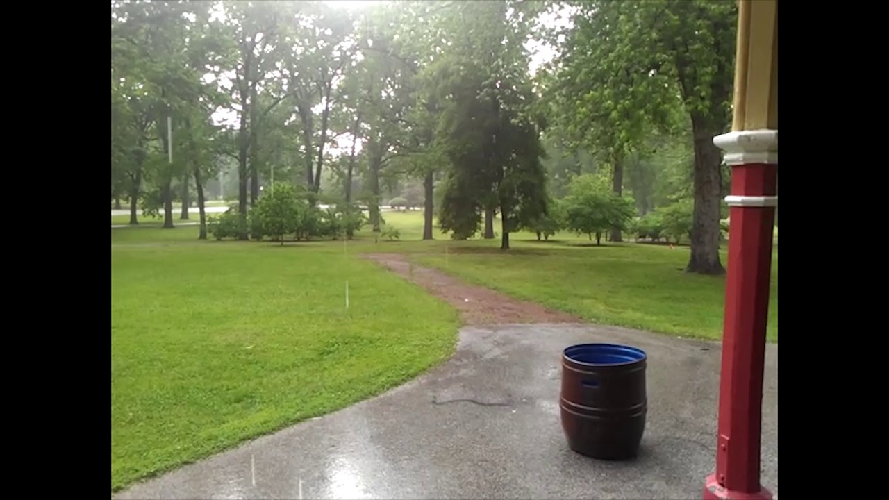 Shalom RDC - Priere Pour La RDC: Une Nouvelle Vie Pour La RDC (Job 14)