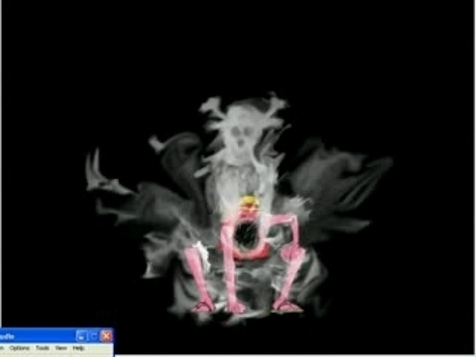 images one piece